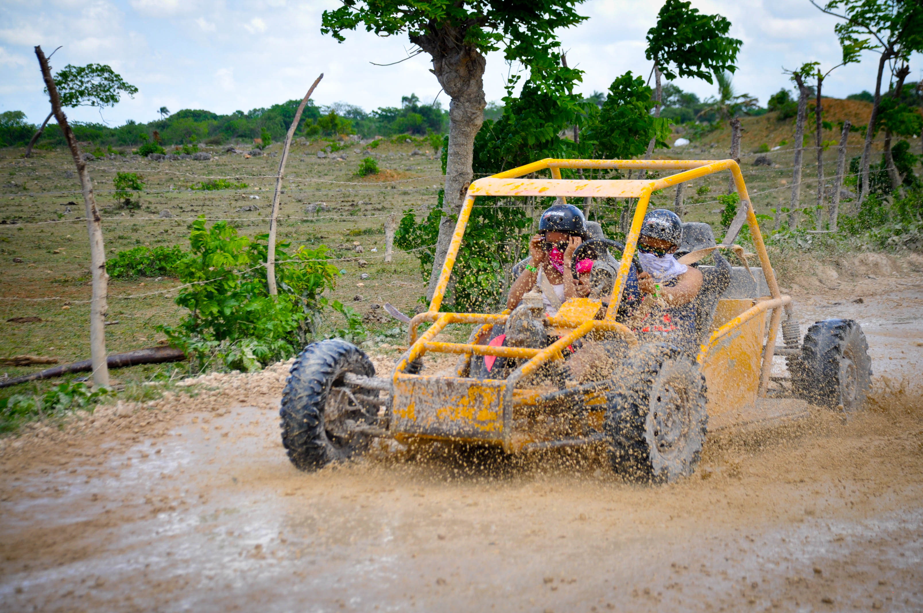 Best buggies for holidays deals