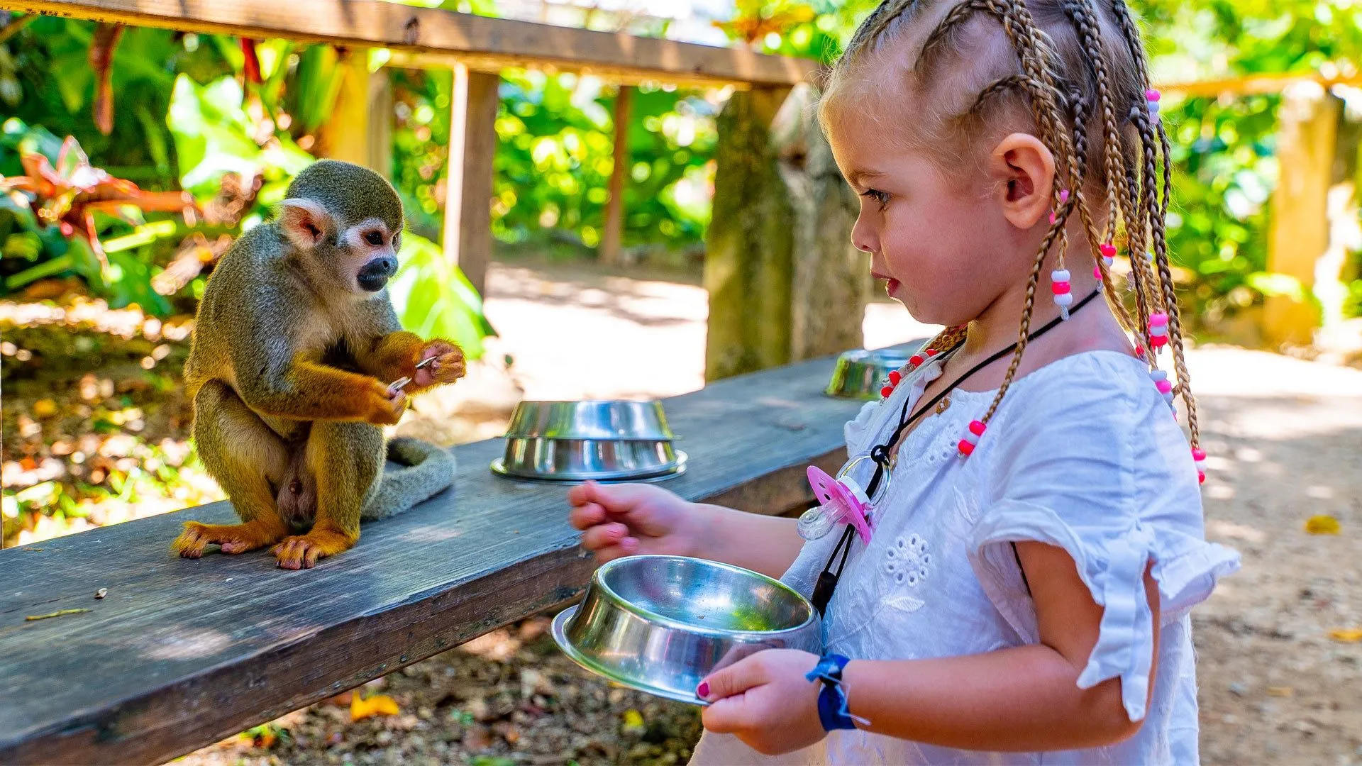 Monkeyland from Excellence Punta Cana All You Need to Know