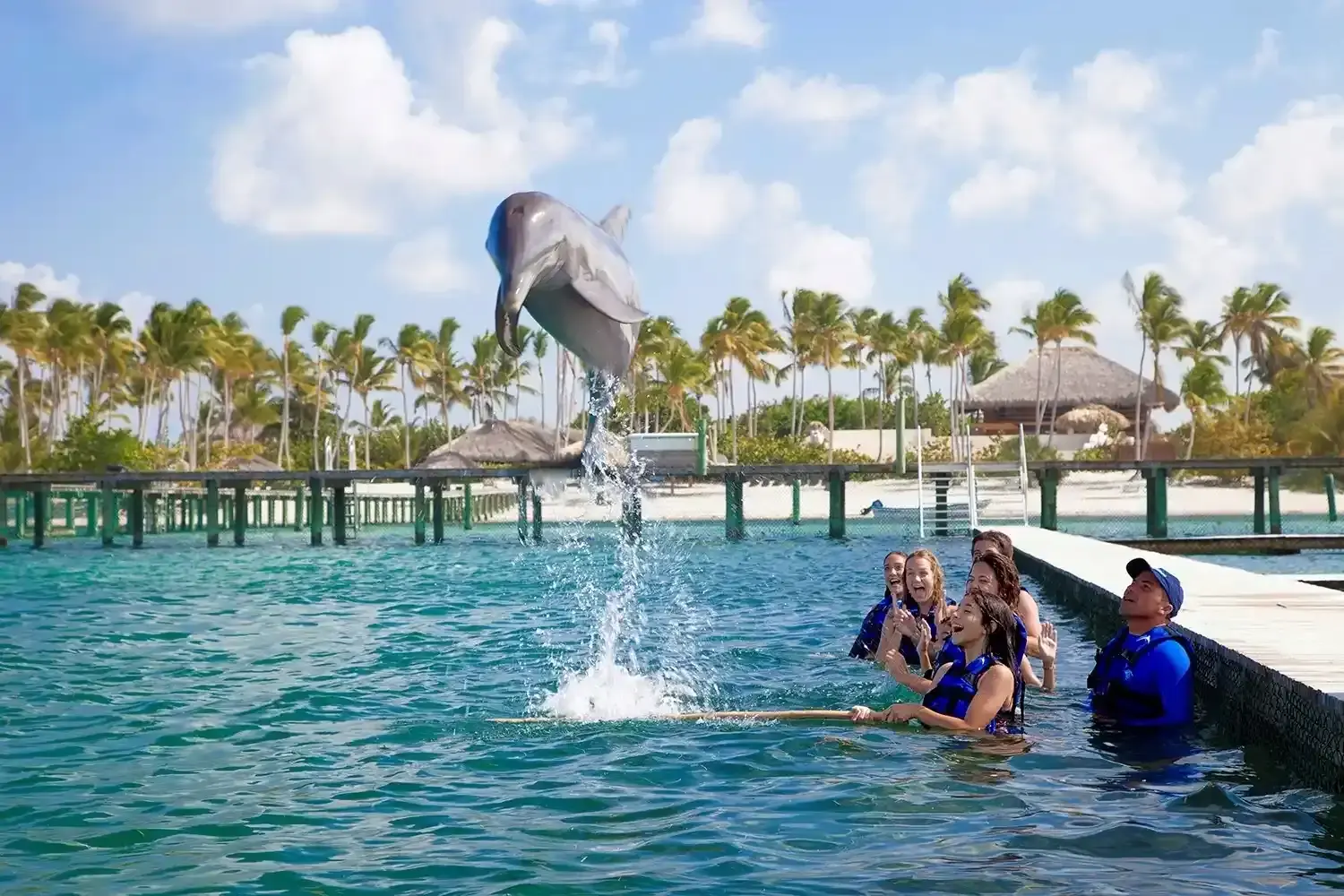 Grand Sirenis Punta Cana: Best Dolphin Encounter Tour