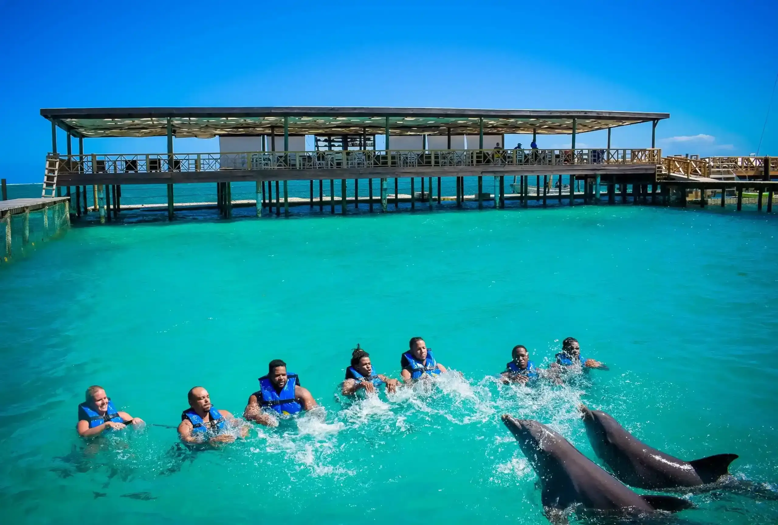Eden Roc Punta Cana: Best Dolphin Encounter Tour