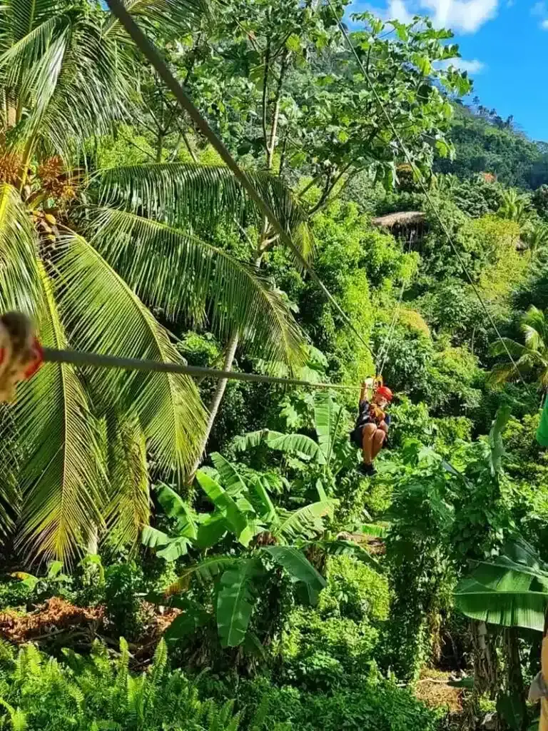Zip-Line from Royalton Splash Punta Cana: All You Need to Know