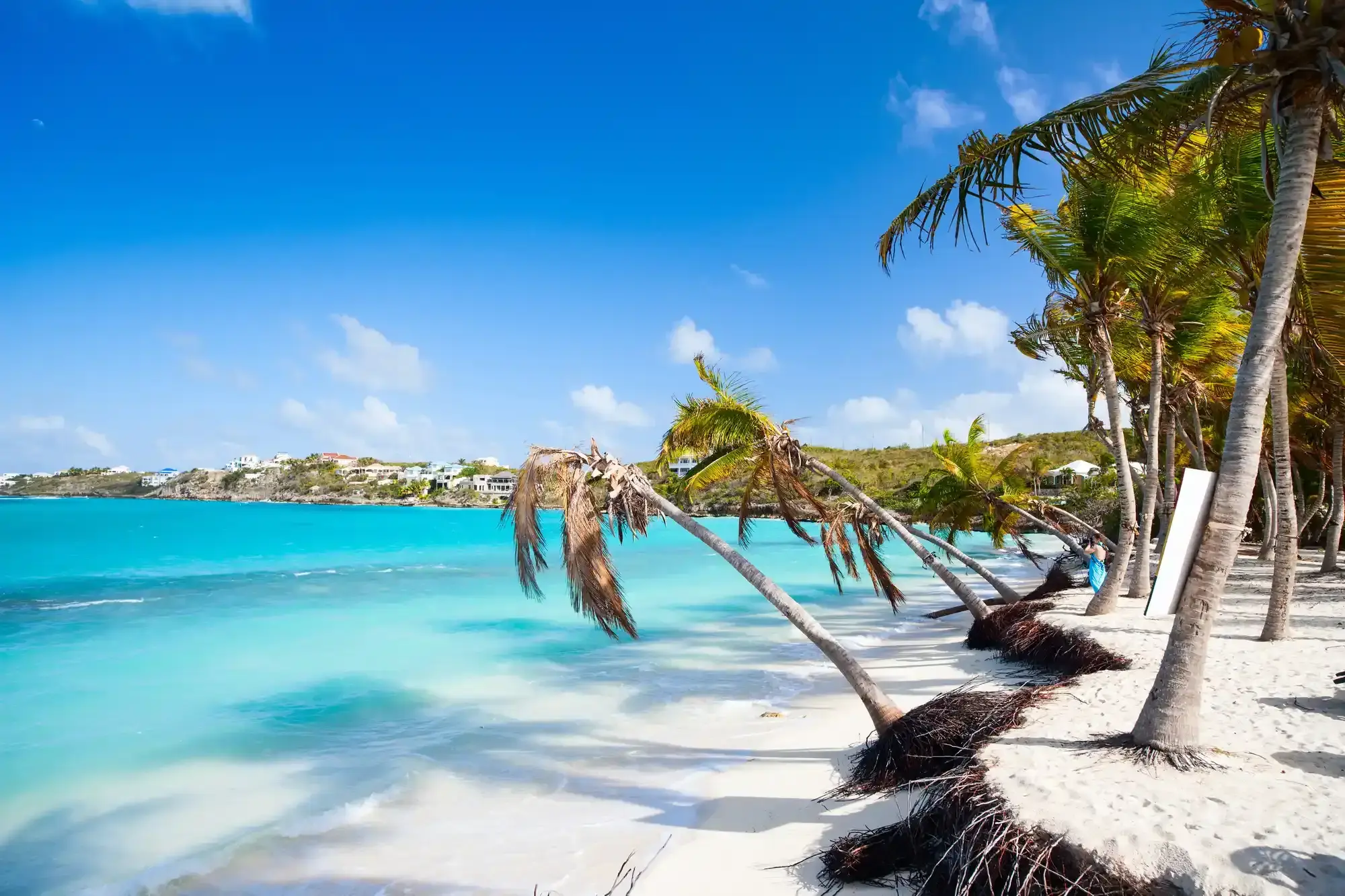 Beach in the Domincian Republic Idyllic beach with transparent turquoise water