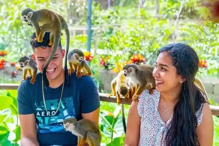 Monkey Land from Iberostar Punta Cana: All You Need to Know