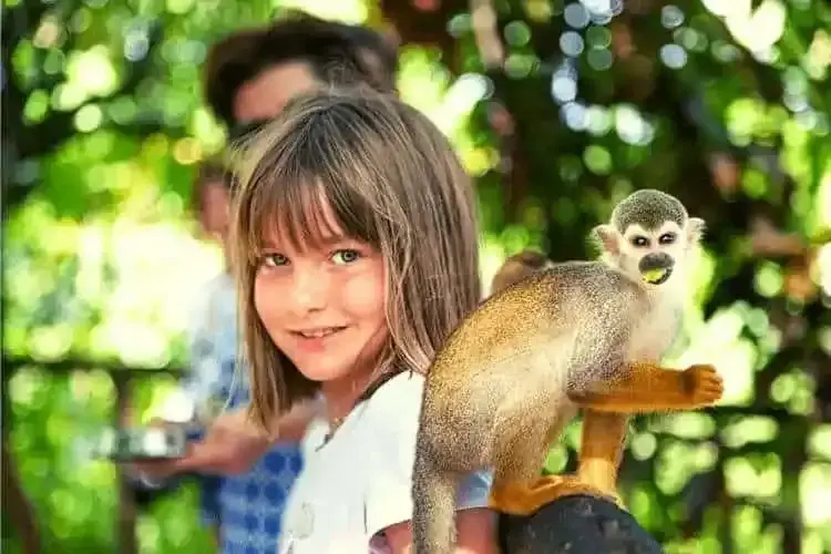 Monkey Land from Iberostar Grand Bavaro: All You Need to Know