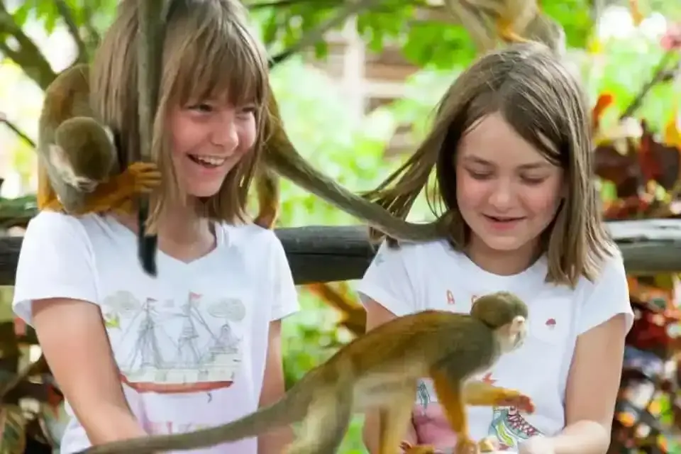 Monkey Land from Caribe Deluxe Princess: All You Need to Know