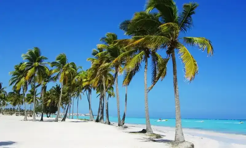Paradise Found: Punta Cana Beach Scenic view of a tropical beach in Punta Cana with turquoise waters, white sand, and palm trees under a clear blue sky.