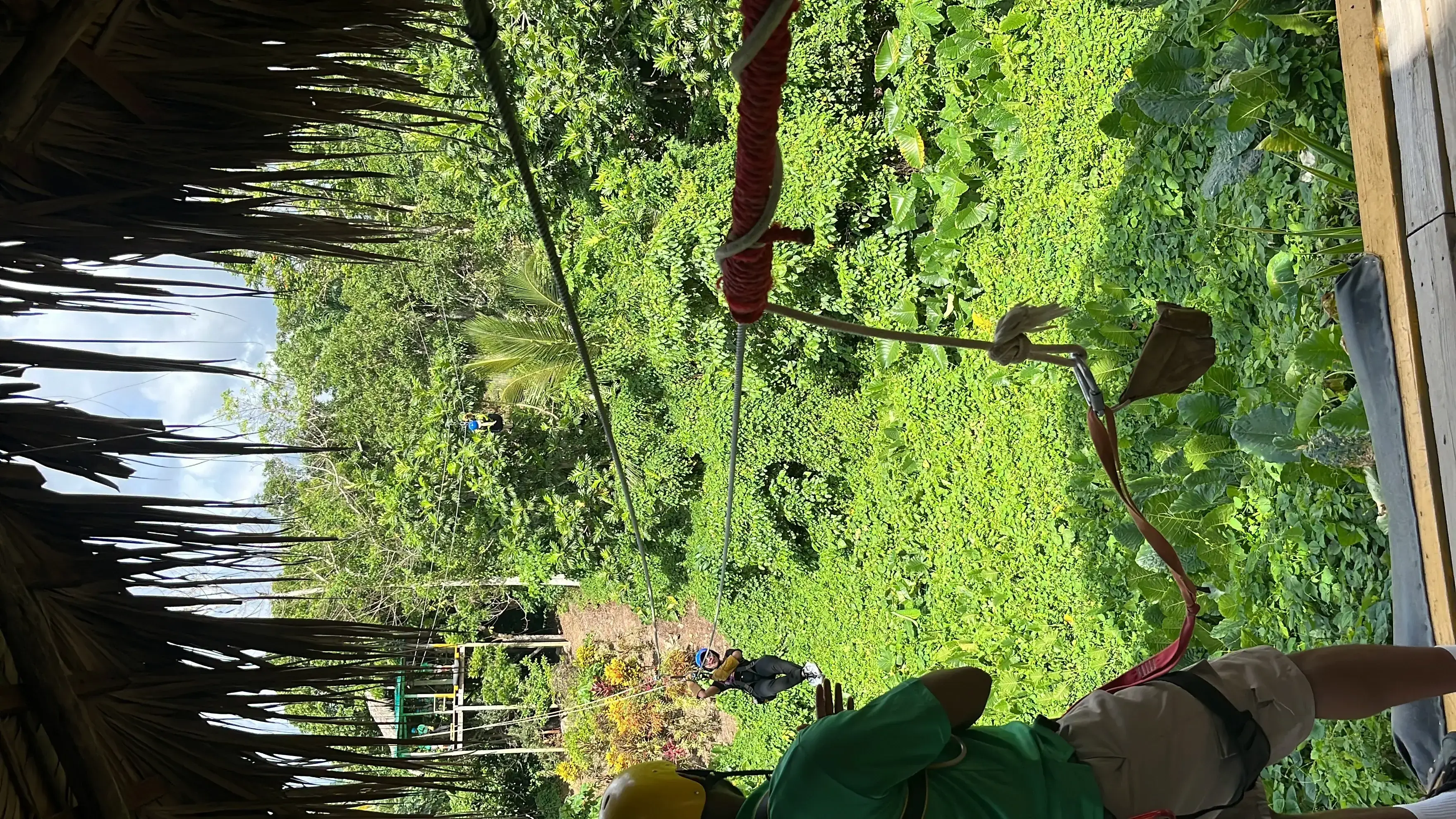 Zip-Line from Dreams Royal Beach Punta Cana: All You Need to Know